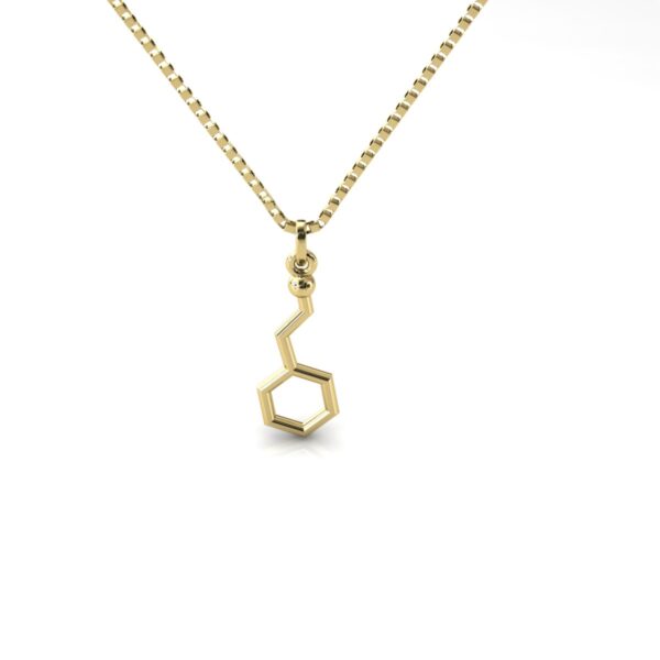 Gargantilha Pingente Molécula Química Fenetilamina Ouro 18k - Imagem 3