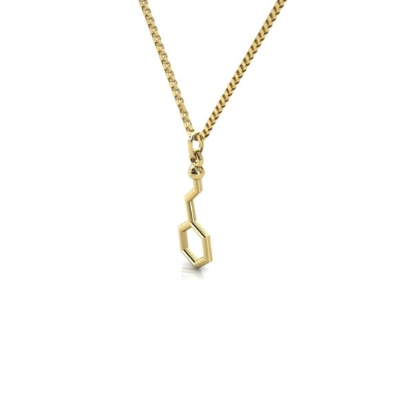 Gargantilha Pingente Molécula Química Fenetilamina Ouro 18k - Imagem 2